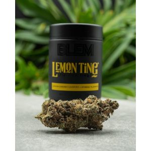 BLEM LEMON TING 3.5g