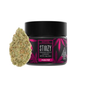 PUSH POP - 3.5G STIIIZY FLOWER JAR - SATIVA