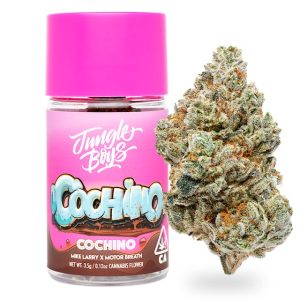 Jungle Boys | Cochino - 3.5g Flower Jar