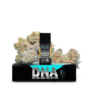 PLUG™ DNA: Pineapple Express