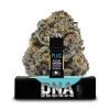 PLUG™ DNA: Sugar Daddy Purple