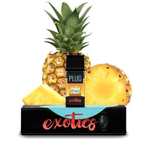 PLUG™ EXOTICS: Piña Cooler