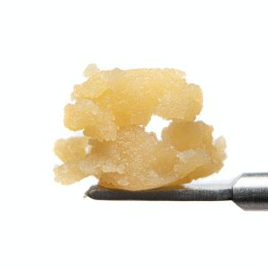 Biscotti Live Resin Badder