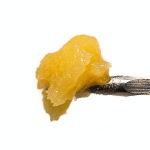 Blood Orange Live Resin Badder