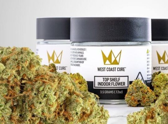 The Most Popular Strains of Cannabis Offered by West Coast Cure